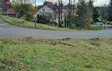 Akcja sadzenia drzew i krzew&oacute;w miododajnych w Gminie Sanok 8