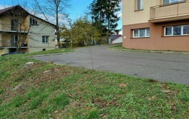 Akcja sadzenia drzew i krzew&oacute;w miododajnych w Gminie Sanok 10