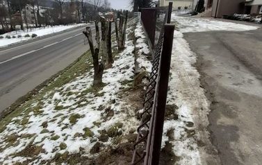 20211210_122747-rotated