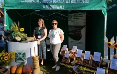 Dzień Ziemniaka w Falej&oacute;wce &ndash; święto tradycji, smaku i wsp&oacute;lnej zabawy 41