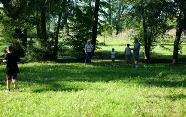 Dzień Ziemniaka w Falej&oacute;wce &ndash; święto tradycji, smaku i wsp&oacute;lnej zabawy 82