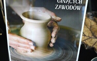 GOK (4)