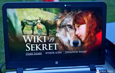 Kino plenerowe pod gwiazdami w Srogowie Dolnym. Zobaczcie jak było! 6