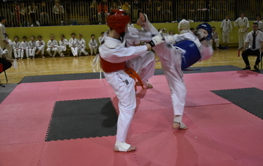 Mikołajkowy Turniej Karate w Niebieszczanach 40