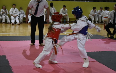 Mikołajkowy Turniej Karate w Niebieszczanach 83