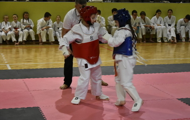 Mikołajkowy Turniej Karate w Niebieszczanach 86