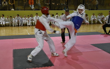 Mikołajkowy Turniej Karate w Niebieszczanach 98