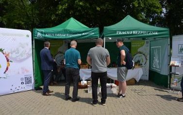 Rozstrzygnięcie XI Og&oacute;lnopolskiego Konkursu Plastycznego dla dzieci pod hasłem &bdquo;Bezpiecznie na wsi mamy &ndash; od 30 lat z KRUS wypadkom zapobiegamy&rdquo;. Wysokie miejsca uczestnik&oacute;w z Gminy Sanok! 11