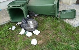 Uwaga na niedźwiedzie! Zabezpiecz posesję 2