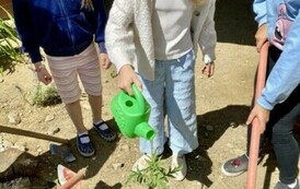 W Szkole Podstawowej w Niebieszczanach powstał Eko-Ogr&oacute;dek 2