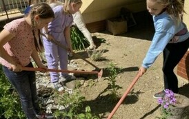 W Szkole Podstawowej w Niebieszczanach powstał Eko-Ogr&oacute;dek 3
