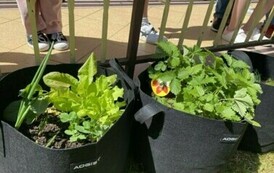 W Szkole Podstawowej w Niebieszczanach powstał Eko-Ogr&oacute;dek 7