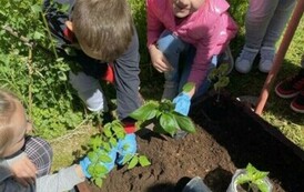 W Szkole Podstawowej w Niebieszczanach powstał Eko-Ogr&oacute;dek 9