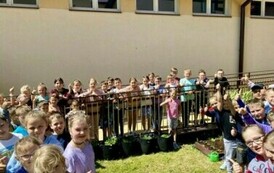 W Szkole Podstawowej w Niebieszczanach powstał Eko-Ogr&oacute;dek 12