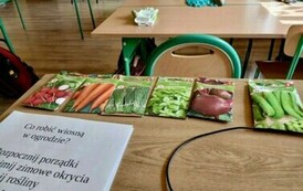 W Szkole Podstawowej w Niebieszczanach powstał Eko-Ogr&oacute;dek 13