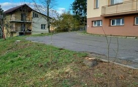 Akcja sadzenia drzew i krzew&oacute;w miododajnych w Gminie Sanok 5