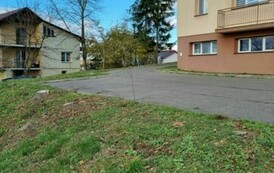 Akcja sadzenia drzew i krzew&oacute;w miododajnych w Gminie Sanok 10