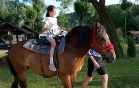 Magiczna Noc Świętojańska na Diablej G&oacute;rze w Tyrawie Solnej już za nami! 103