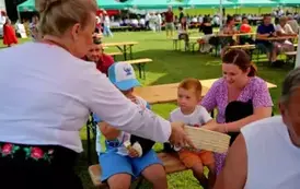 Dożynki 2025 - Za nami coroczne Święto Plon&oacute;w w Gminie Sanok!  131