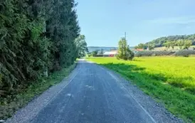 Pakosz&oacute;wka