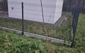 Wzbogacamy przyrodę Podkarpacia - akcja sadzenia roślin miododajnych w Gminie Sanok 3