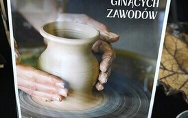 GOK (4)