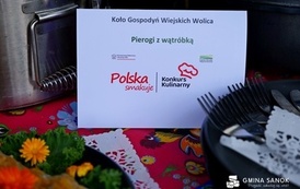 Za nami XV Zjazd Kapel Ludowych w Dolinie Sanu 113