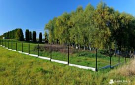 Cmentarz komunalny w Płowcach (4)