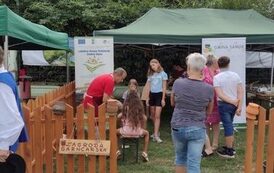 Zagroda Garncarska podczas Gminnych Dożynek w Markowcach 4