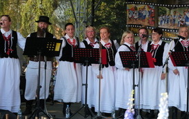 XII Zjazd Kapel Ludowych w Dolinie Sanu przeszedł do historii 74