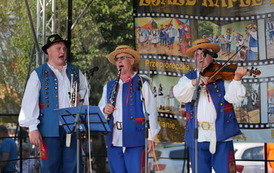 XII Zjazd Kapel Ludowych w Dolinie Sanu przeszedł do historii 113