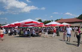 XII Zjazd Kapel Ludowych w Dolinie Sanu przeszedł do historii 169