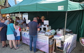 XII Zjazd Kapel Ludowych w Dolinie Sanu przeszedł do historii 170