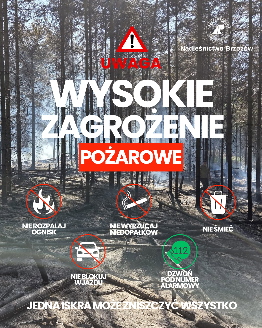 ostrzeżenie nadleśnictwo Brzoz&oacute;w - uwaga zagorżenie pożarami las&oacute;w