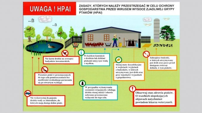 Zdjęcie do Wojewoda Podkarpacki wydał rozporządządzenie w sprawie wprowadzenia środk&oacute;w zmniejszających ryzyko wystąpienia wysoce zjadliwej grypy ptak&oacute;w (HPAI) w gospodarstwach utrzymujących dr&oacute;b na terenie wojew&oacute;dztwa podkarpackiego