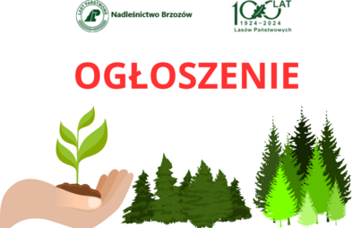 Zdjęcie do Ogłoszenie Nadleśnictwa Brzoz&oacute;w o chęci nabycia działek leśnych i grunt&oacute;w przeznaczonych do zalesienia