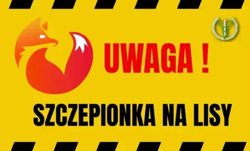 Zdjęcie artykułu z dnia 26-09-2025