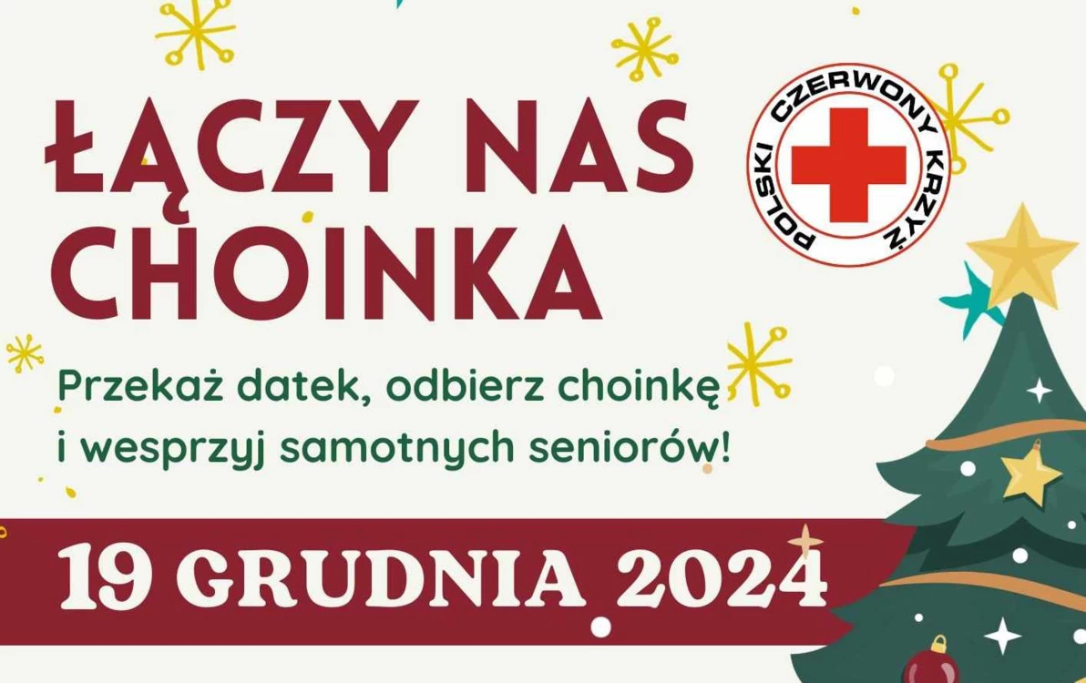 Zdjęcie do Gmina Sanok rozdaje choinki! Odbierz choinkę i wspom&oacute;ż samotnych senior&oacute;w! 
