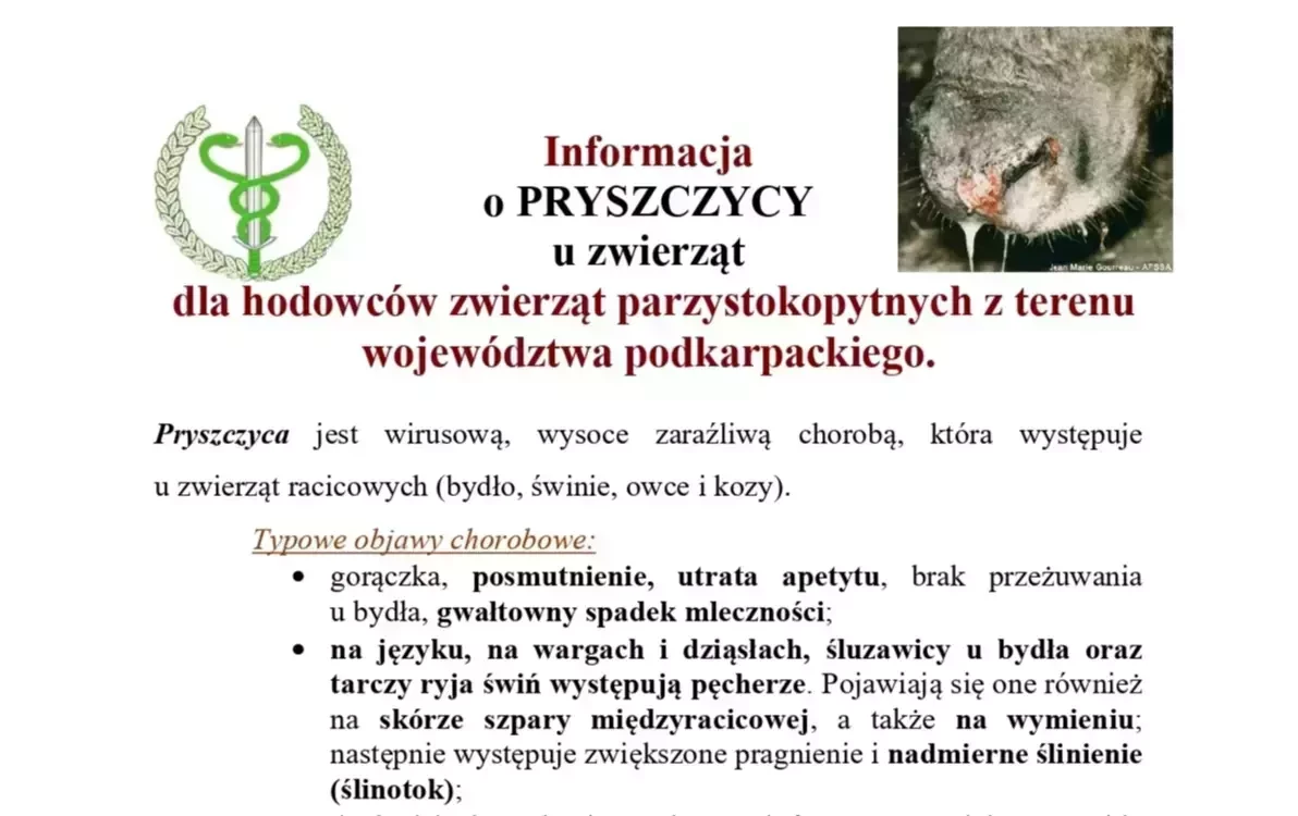 Zdjęcie do Informacja o PRYSZCZYCY u zwierząt dla hodowc&oacute;w zwierząt parzystokopytnych z terenu wojew&oacute;dztwa podkarpackiego