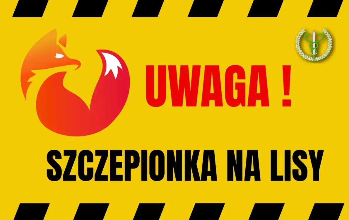 Zdjęcie do KOMUNIKAT Podkarpackiego Wojew&oacute;dzkiego Lekarza Weterynarii! Jesienna akcja szczepienia lis&oacute;w