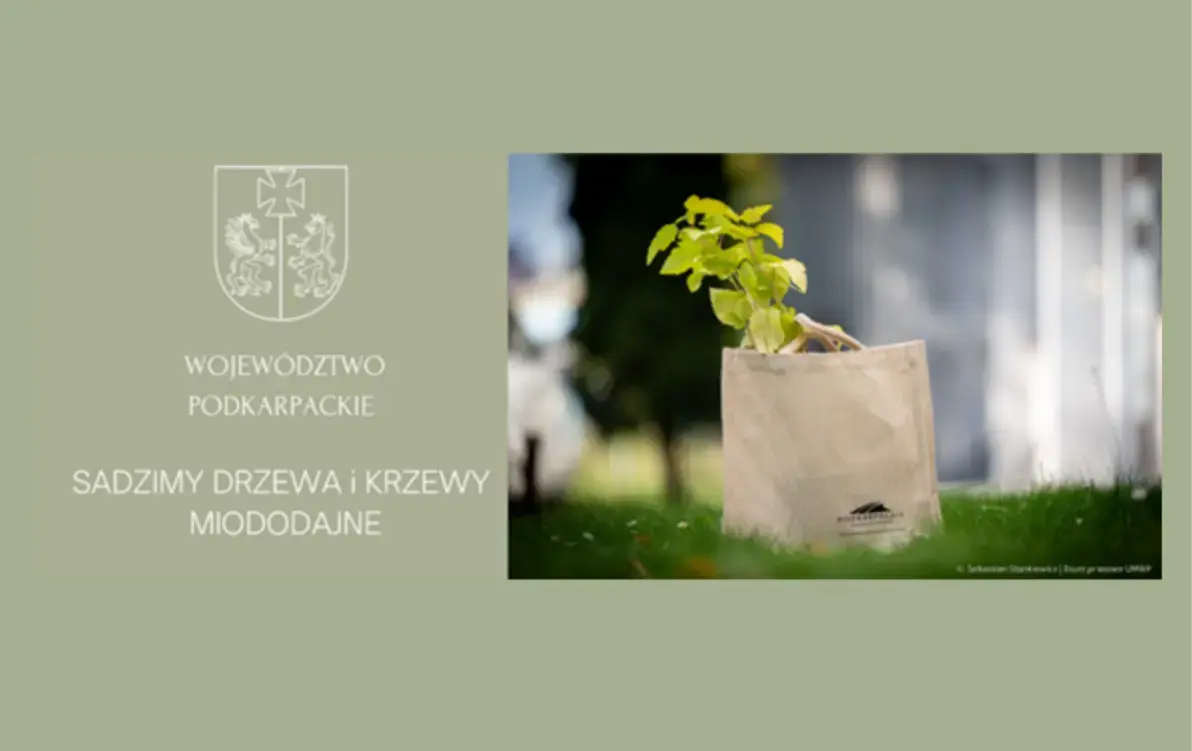 Zdjęcie do Wzbogacamy przyrodę Podkarpacia - akcja sadzenia roślin miododajnych w Gminie Sanok