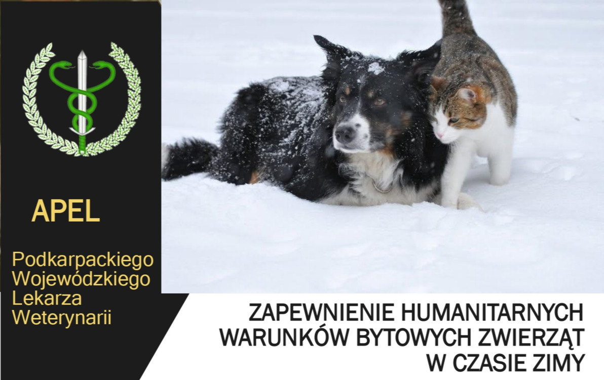 Zdjęcie do Apel PWLW o zapewnienie humanitarnych warunk&oacute;w bytowych zwierząt w czasie zimy