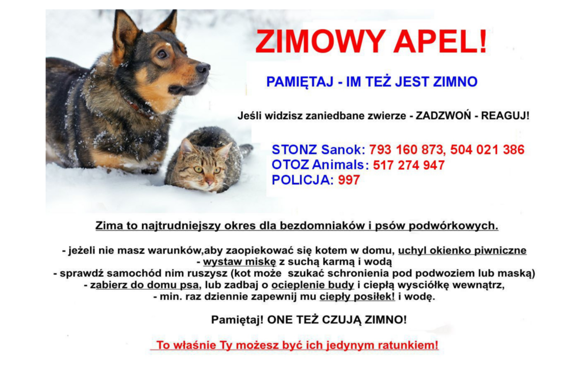 Zdjęcie do Zimowy Apel! Dbajmy o zwierzęta - bez nas nie przeżyją!