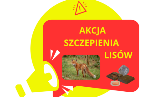 Komunikat  Podkarpackiego Wojewódzkiego Lekarza Weterynarii - dodatkowe szczepienia lisów