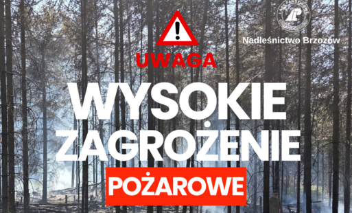 Zdjęcie do OSTRZEŻENIE! Wysokie zagrożenie pożarowe w lasach