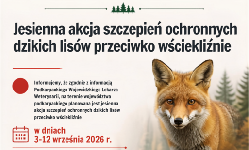 Komunikat dla mieszkańców Gminy Sanok - Akcja szczepienia lisów przeciwko wściekliźnie