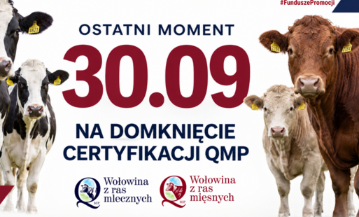 Uwaga Rolnicy! Certyfikat QMP — termin uzyskania upływa 30 września 2026 r.