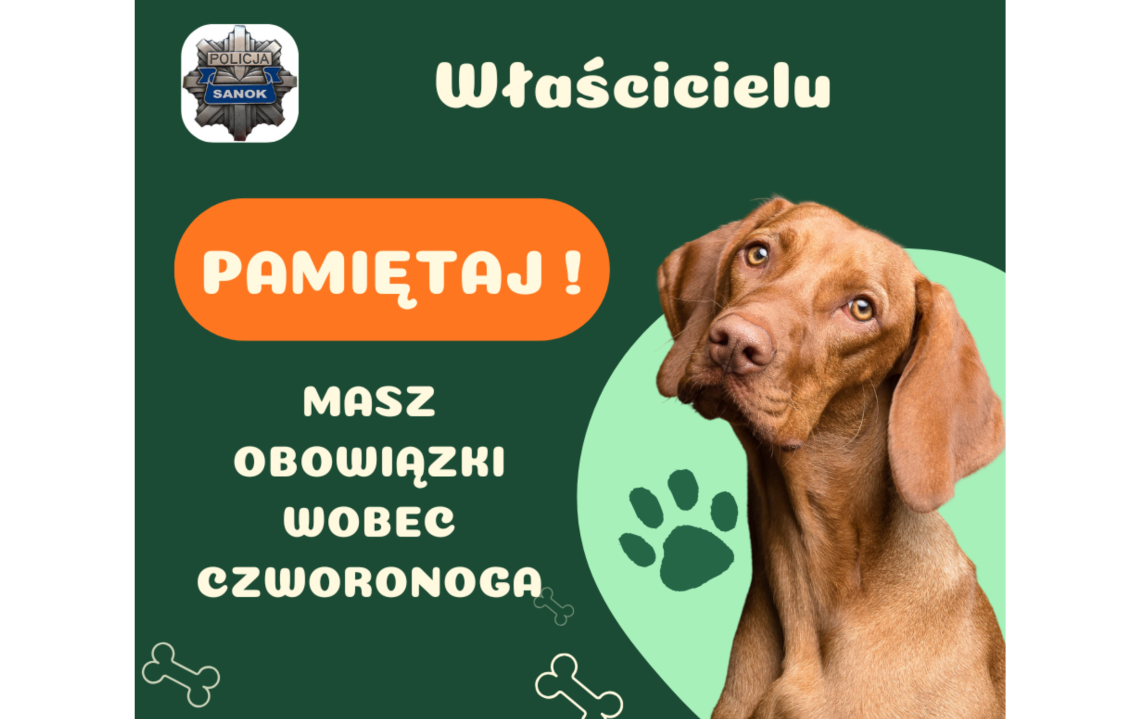Zdjęcie do Pamiętajmy o obowiązkach wobec swoich czworonog&oacute;w!