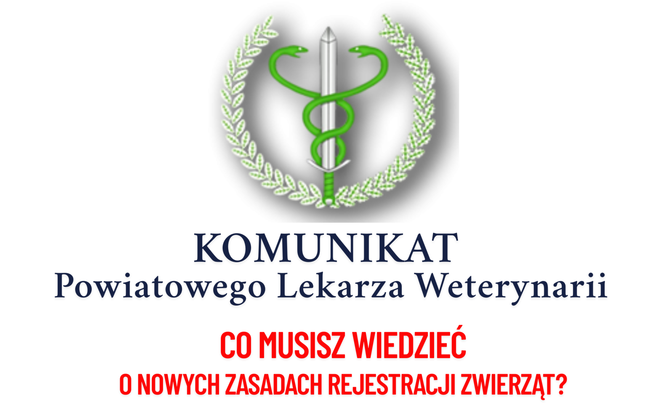 Zdjęcie do KOMUNIKAT Powiatowego Lekarza Weterynarii w Sanoku. Nowe zasady rejestracji zwierząt &ndash; co musisz wiedzieć?