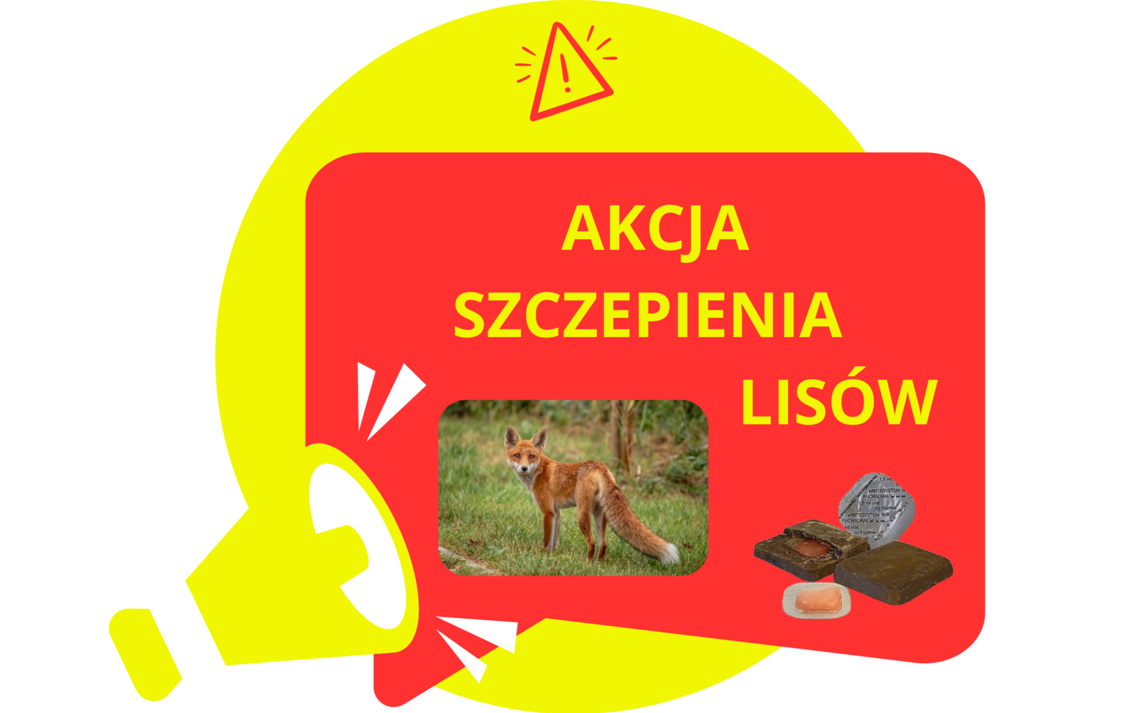 Zdjęcie do Komunikat&nbsp; Podkarpackiego Wojew&oacute;dzkiego Lekarza Weterynarii - dodatkowe szczepienia lis&oacute;w